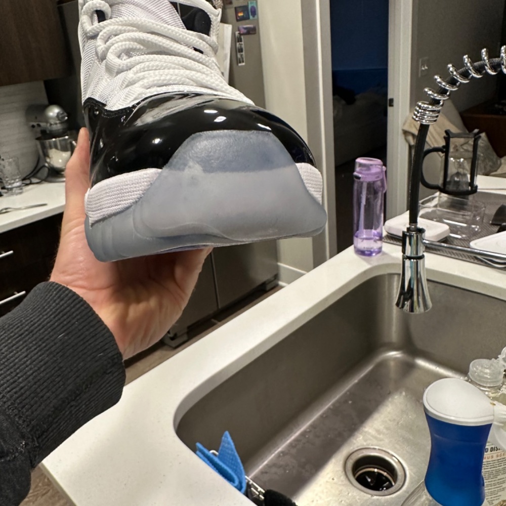 jordan 11 concorde